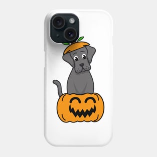 Cute Big Dog is in a pumpkin Phone Case