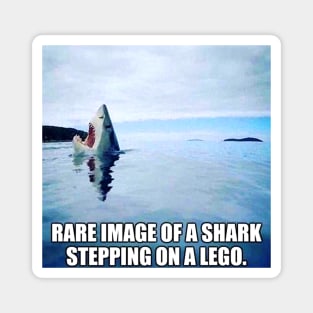 Shark Week Jaws Meme Magnet