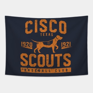 Cisco Scouts Tapestry