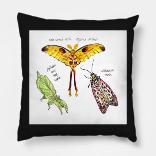 Bugs Trio colouring pencil and pen illustration Pillow