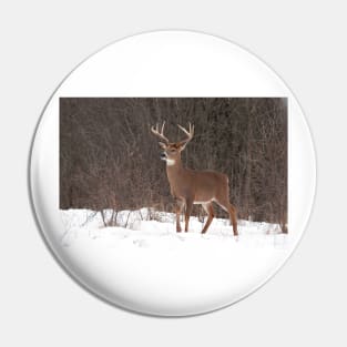 Bambi - White-tailed Buck Pin