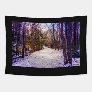 Hemlock Ravine Park Tapestry