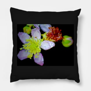 WILD ROSE FOR DARK HEARTS Pillow