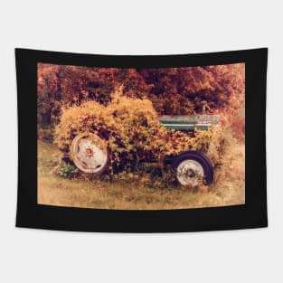 Wild Ride Tapestry