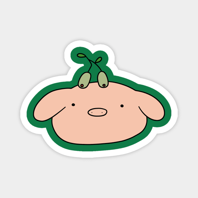 Olive Piggy Face Magnet by saradaboru