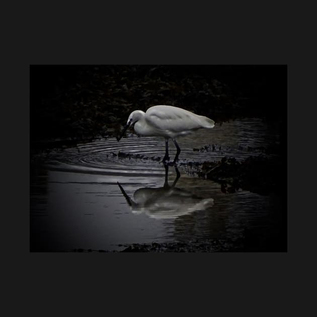 REFLECTING ON THE SHADOW OF YOUR OWN EGRETS... by dumbodancer