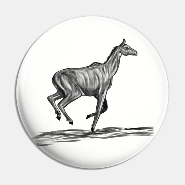 Nilgai Pin by Aniket Patel