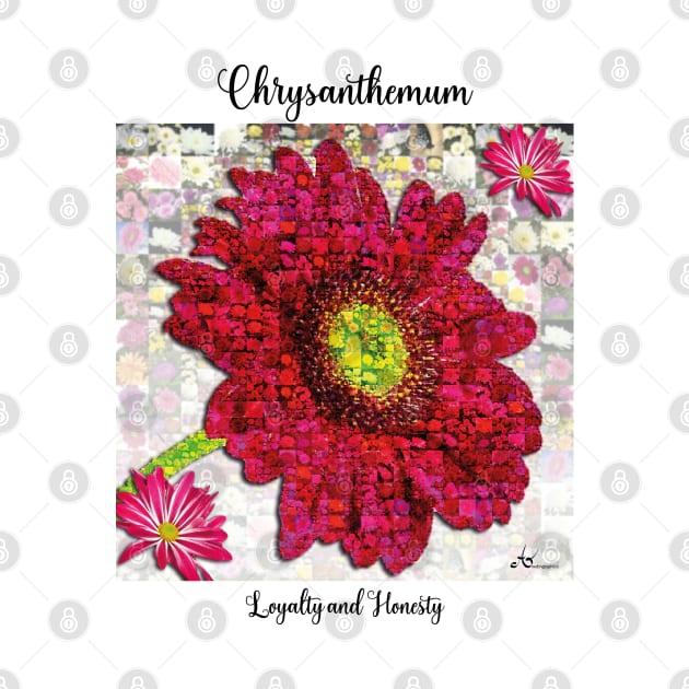 Chrysanthemum Birth Month Flower November by Symbolsandsigns