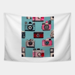 Vintage Cameras Tapestry