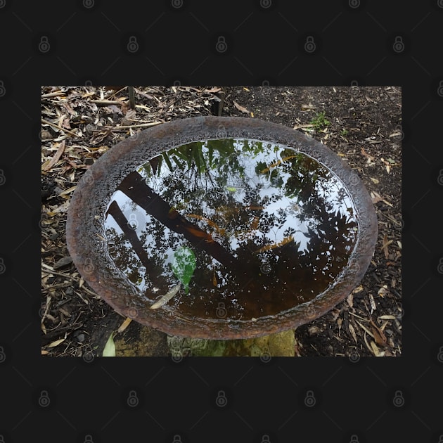 Leaf Mirror by Julie Vaux