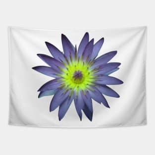 Water Lily Tapestry