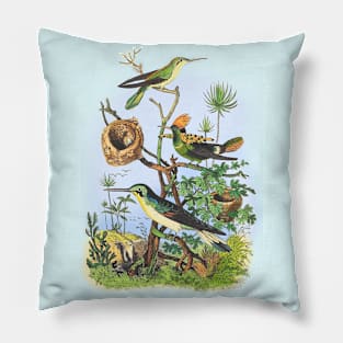 BIRDS Wildlife Illustration Pillow