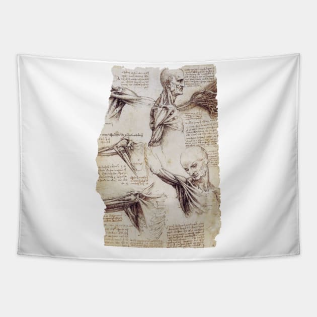 Leonardo Da Vinci Anatomical Drawings Tapestry by Persona2