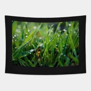 Dew Drop Grass Tapestry