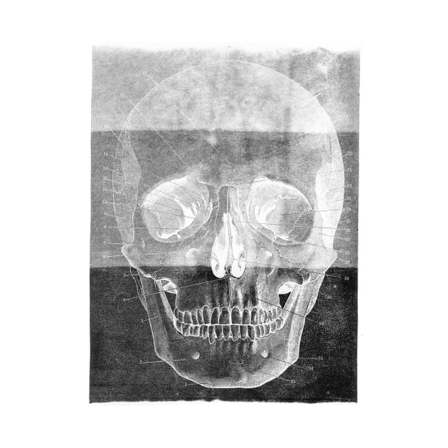 Grunge skull by OsFrontis