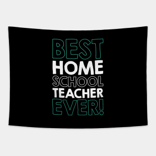 BEST HOMESCHOOL TEACHER ever! Tapestry