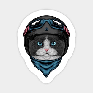 Fat Cat Rider Magnet