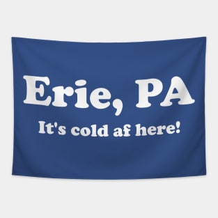 Erie, PA Cold Tapestry