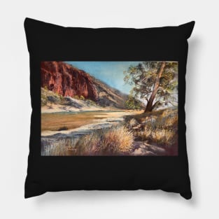 ‘Tjoritja - Glen Helen’ (West MacDonnell National Park). Pillow