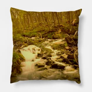 Crystal clear mountain stream Pillow