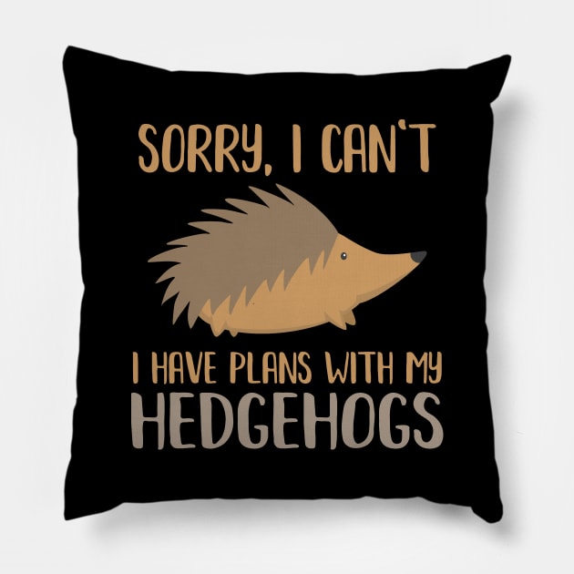 I Have Plans With My Hedgehog Pillow by PixelArt