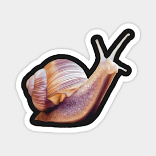 Common Garden Snail illustration. Unique little snail art, cute little creature. Magnet