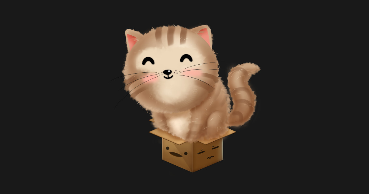 Cat Fits In Box Kitten Shirt Funny Cat Lover Kitten Fit In Box