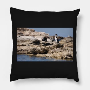 Pingouin appelant ces amis, Nouvelle-Zélande Pillow