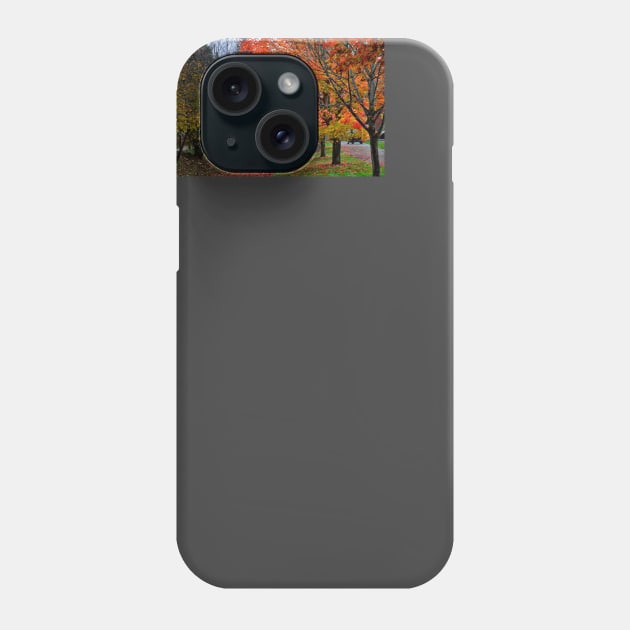 Bright Orange Fall Colors Phone Case by KirtTisdale