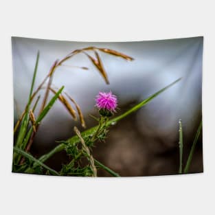 Thistles are beautiful. Tapestry