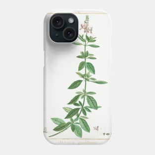 Plant by Pierre-Joseph Redouté (1759–1840). Phone Case