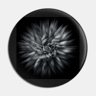 Backyard Flowers In Black And White 20 Flow Version Pin