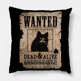 Schordingers Cat Pillow