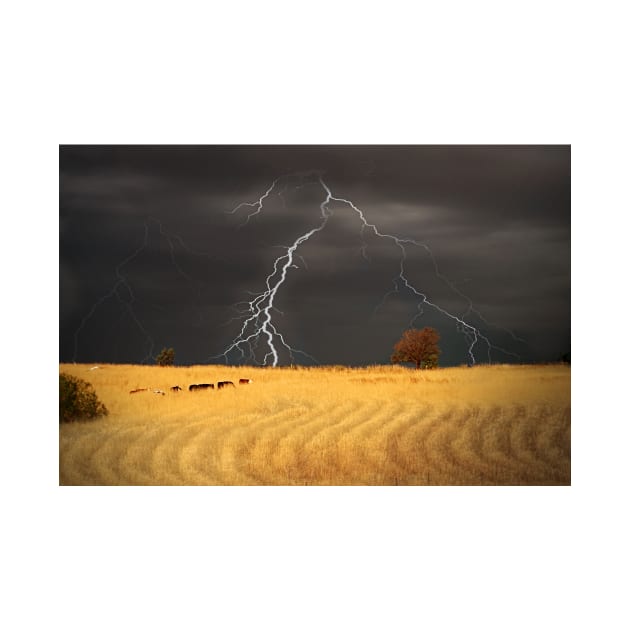 Summer Storm - Mine Road, Kanmantoo, South Australia by Mark Richards