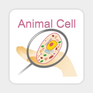 A vector illustration of an animal cell with labels on white background. Magnet