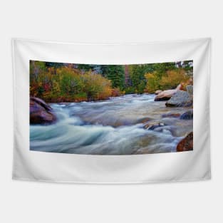 Autumn River Tapestry
