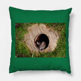 Mouse in a mossey hole Pillow