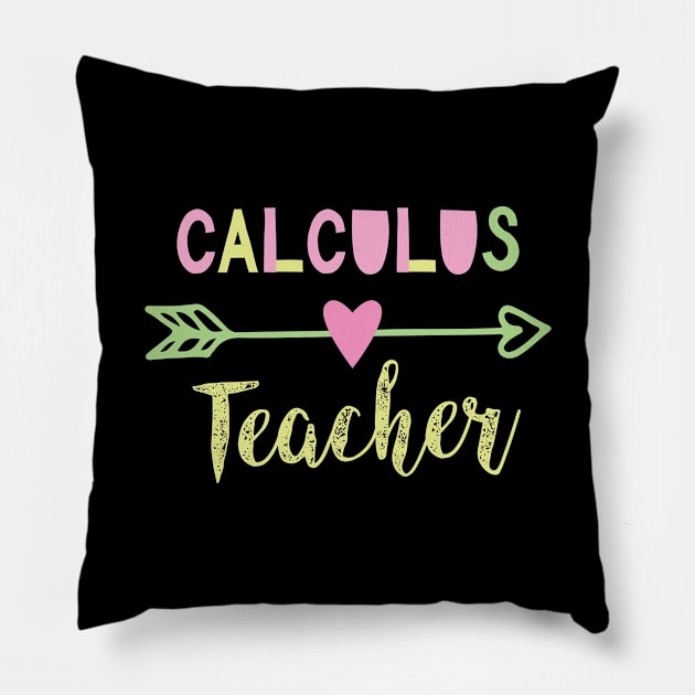 Calculus Teacher Gift Idea Pillow by BetterManufaktur