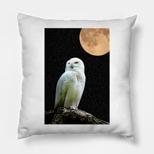 Under The Moon Pillow