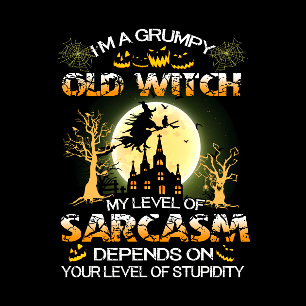 I'm a Grumpy Old WitchT Shirt Funny Halloween Gifts Shirt by frostelsinger
