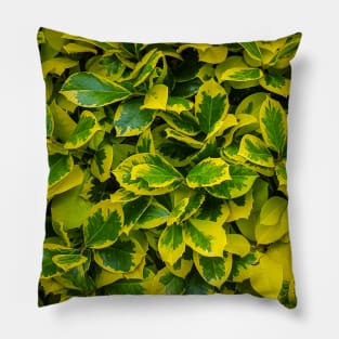 Green leafs Pillow