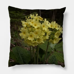 Mountain flowers Pillow