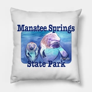 Manatee Springs State Park, Florida Pillow