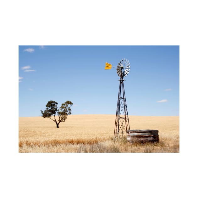 Wind driven water pump South Australia by jwwallace