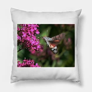 THE PANASONIC FZ 200 PAR OKAIO CREATION Pillow