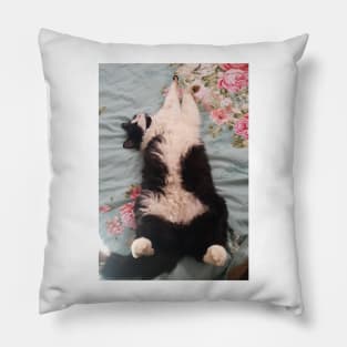 Tuxedo Cat Funny Cute Sleeping and Air-Kneading Pillow