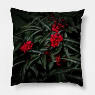 Berries Pillow