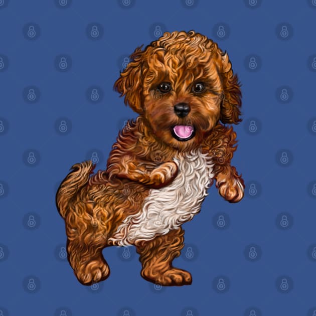 Cavapoo Cavoodle puppy laughing and dancing- cute cavalier king charles spaniel by Artonmytee