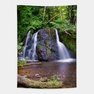 Fairy Glen Waterfall, Rosemarkie, Scotland Tapestry