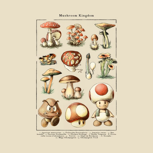 Mushroom Kingdom by BlancaVidal